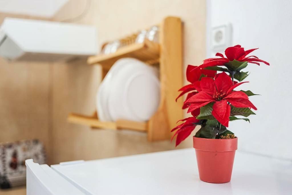 Apartamento Centro Vejer Вехер-де-ла-Фронтера Екстер'єр фото